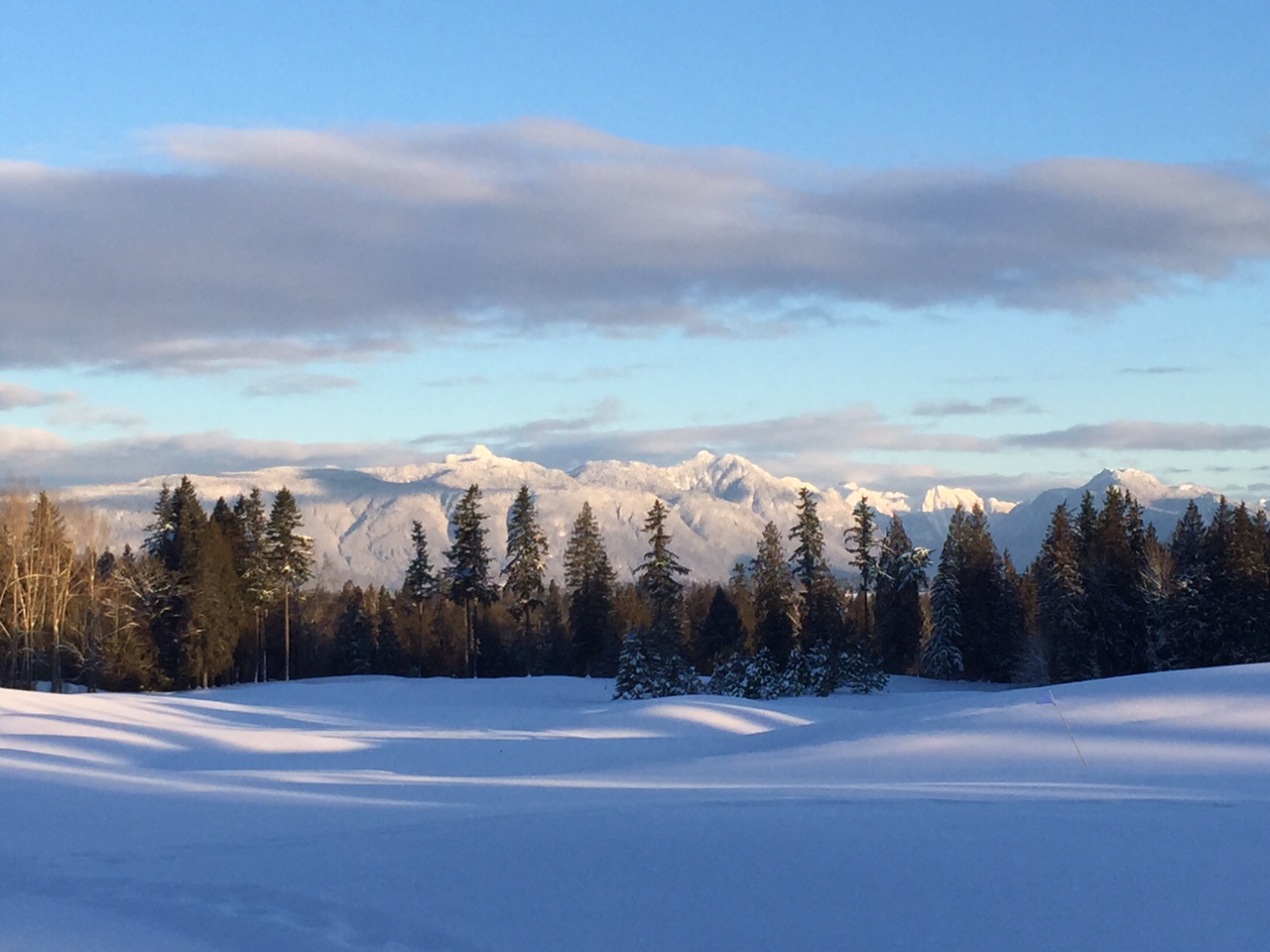 Snow covered golf course in Langley, BC