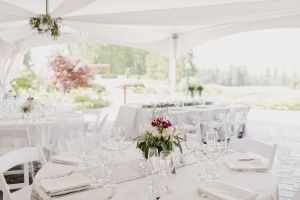 Reception tent - empty